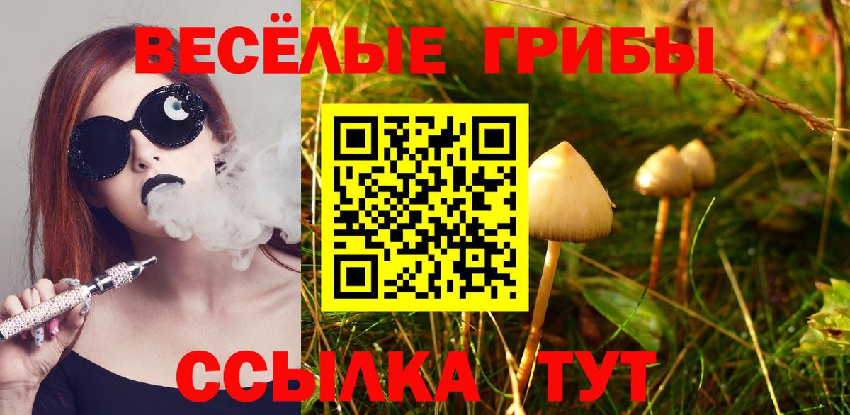 Галлюциногенные грибы MAGIC MUSHROOMS  Вход с VPN  Кимры 